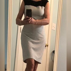 SZ 6 Chaps Business Casual Dress